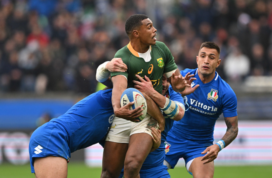 italy; rugby; south africa; springboks; azzurri; betting