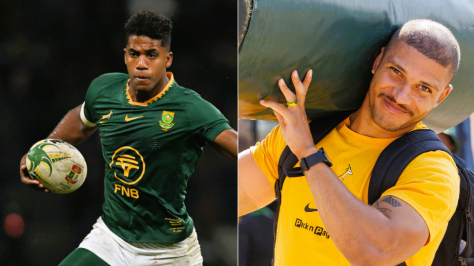 springboks; georgia; betting