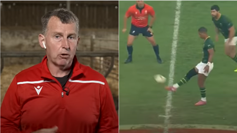 Nigel Owens; Springboks; World Rugby