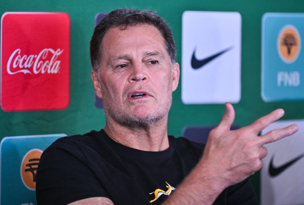 Rassie Erasmus, Springbok coach